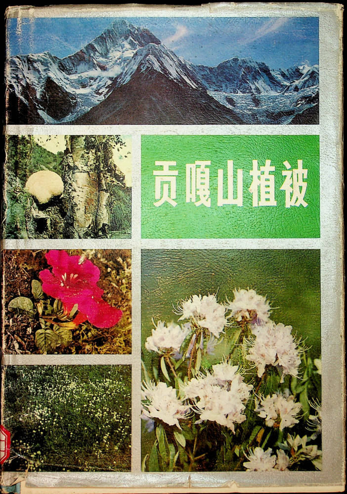 贡嘎山植被