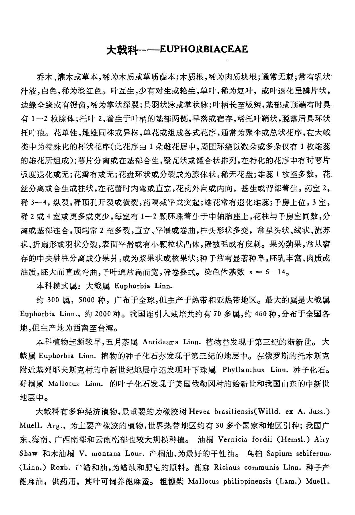 中国植物志 第四十四卷 第一分册