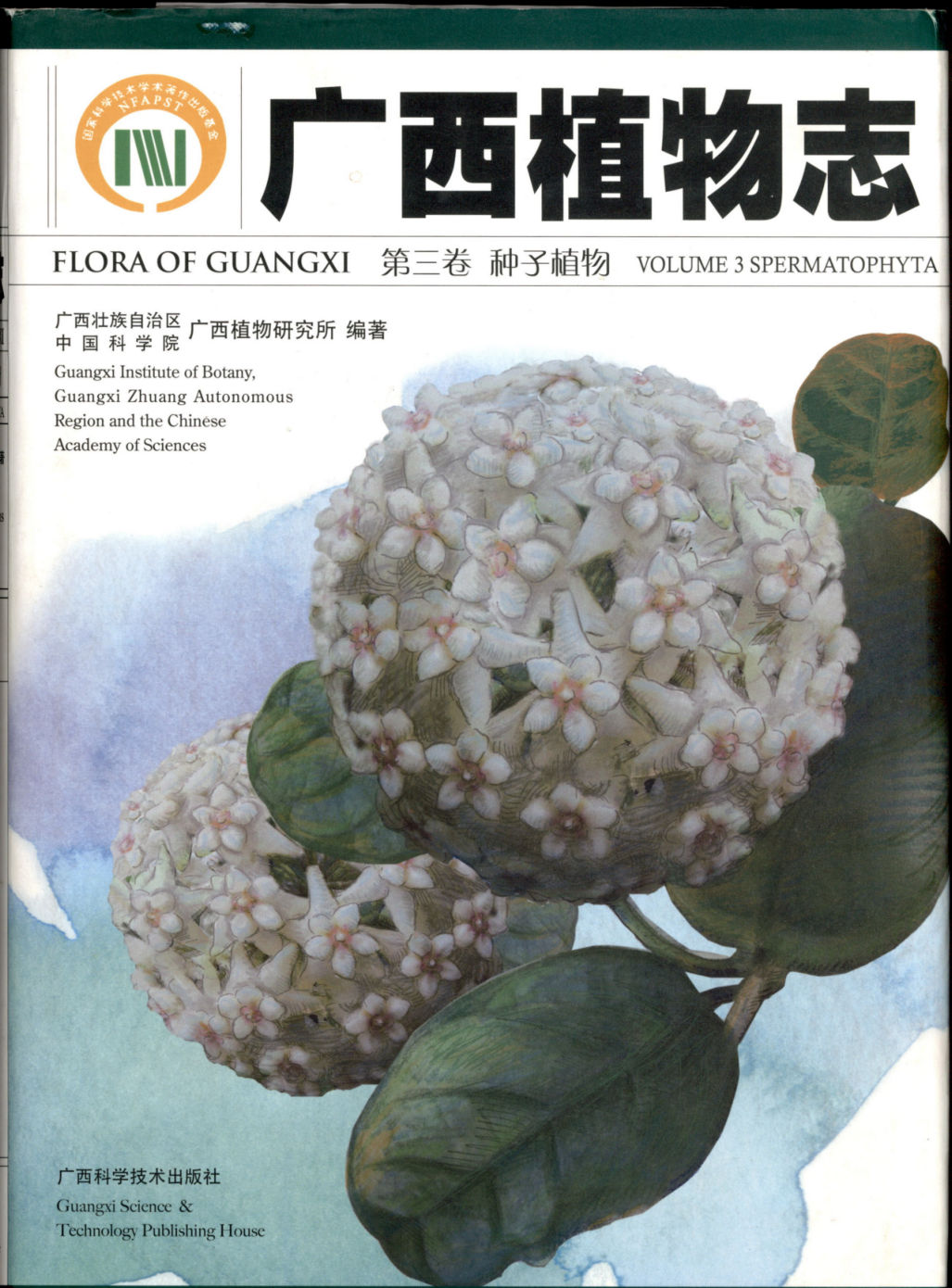 广西植物志 FLORA OF GUANGXI 第三卷 种子植物 VOLUME 3 SPERMATOPHYTA
