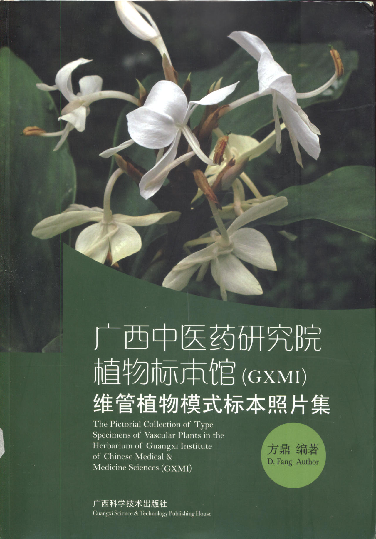 广西中医药研究院植物标本馆（GXMI)维管植物模式标本照片集 The Pictorial Collection of Type Specimens of Vascular Plants in the Herbarium of Guangxi Institute of Chinese Medical & Medicine Sciences (GXMI)