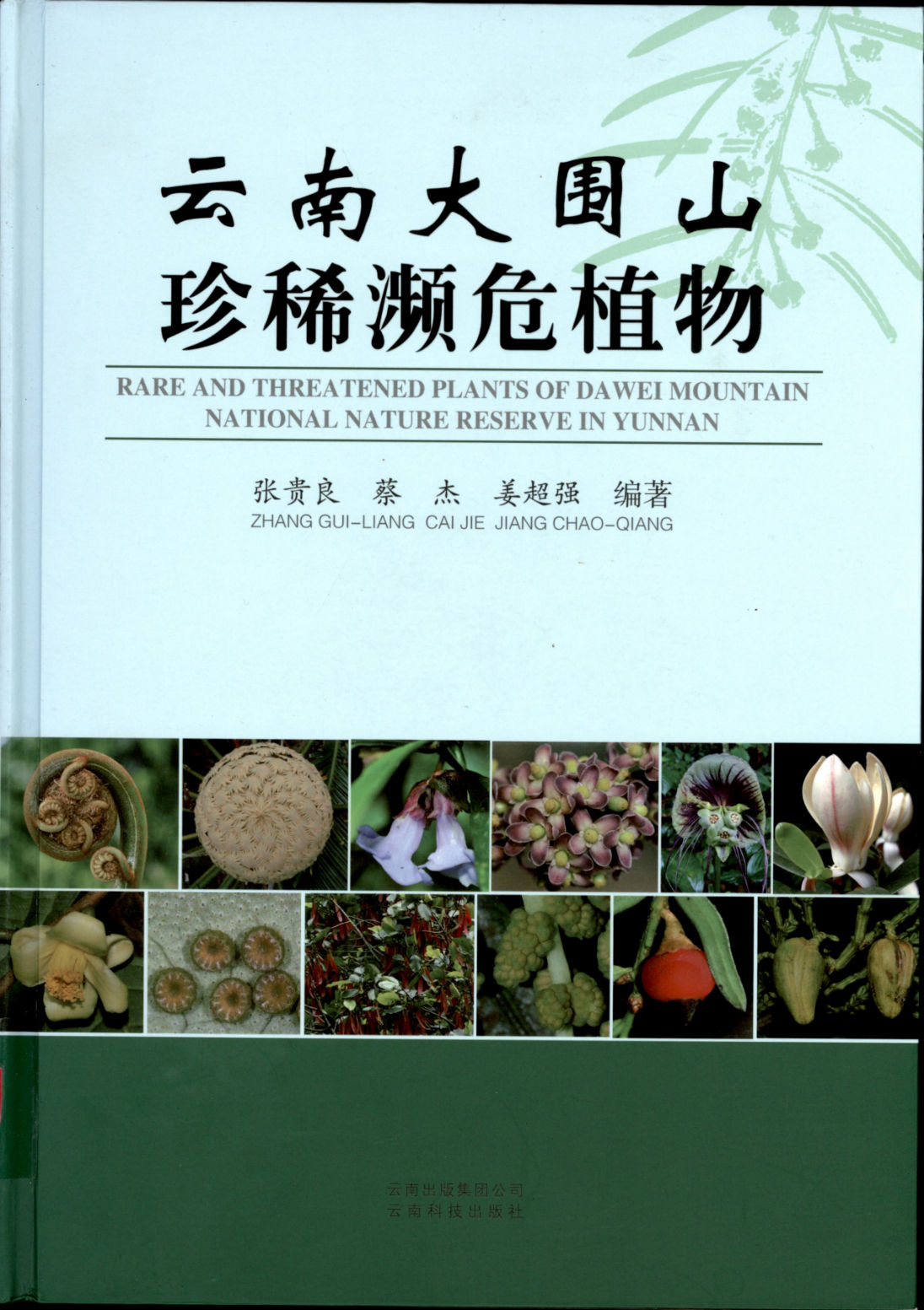 云南大围山珍稀濒危植物 RARE AND THREATENED PLANTS OF DA WEI MOUNTAIN NATIONAL NATURE RESERVE IN YUNNAN