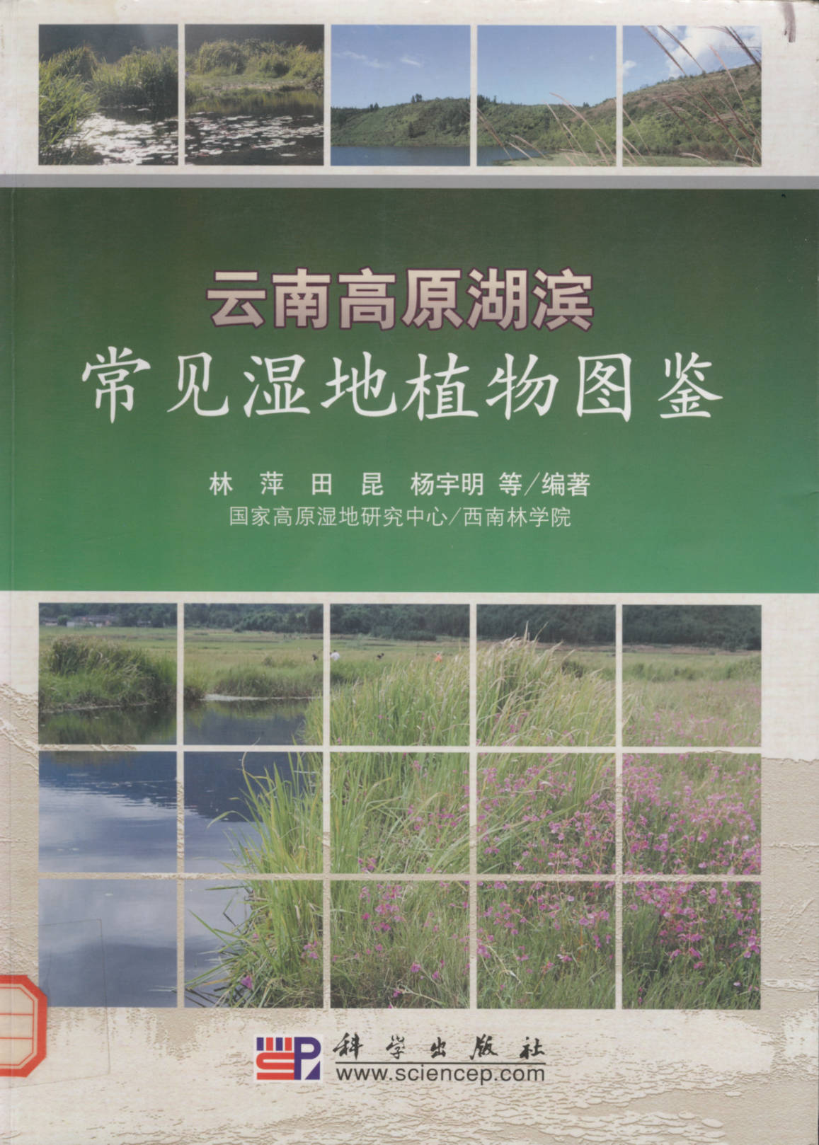 云南高原湖滨常见湿地资源植物图鉴