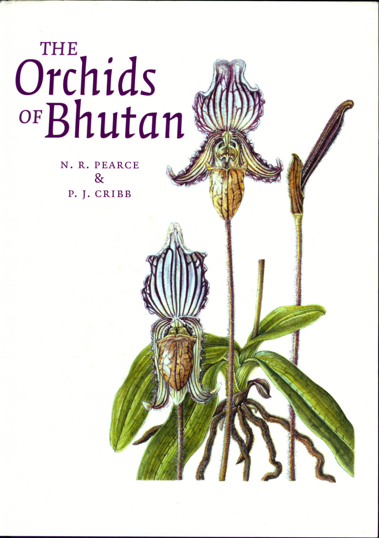 The Orchids OF Bhutan