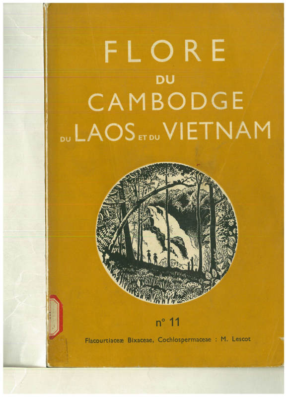 FLORE DU CAMBODGE DU LAOS ET DU VIETNAM 11 Flacourtiaceae Bixaceae,Cochlospermaceae