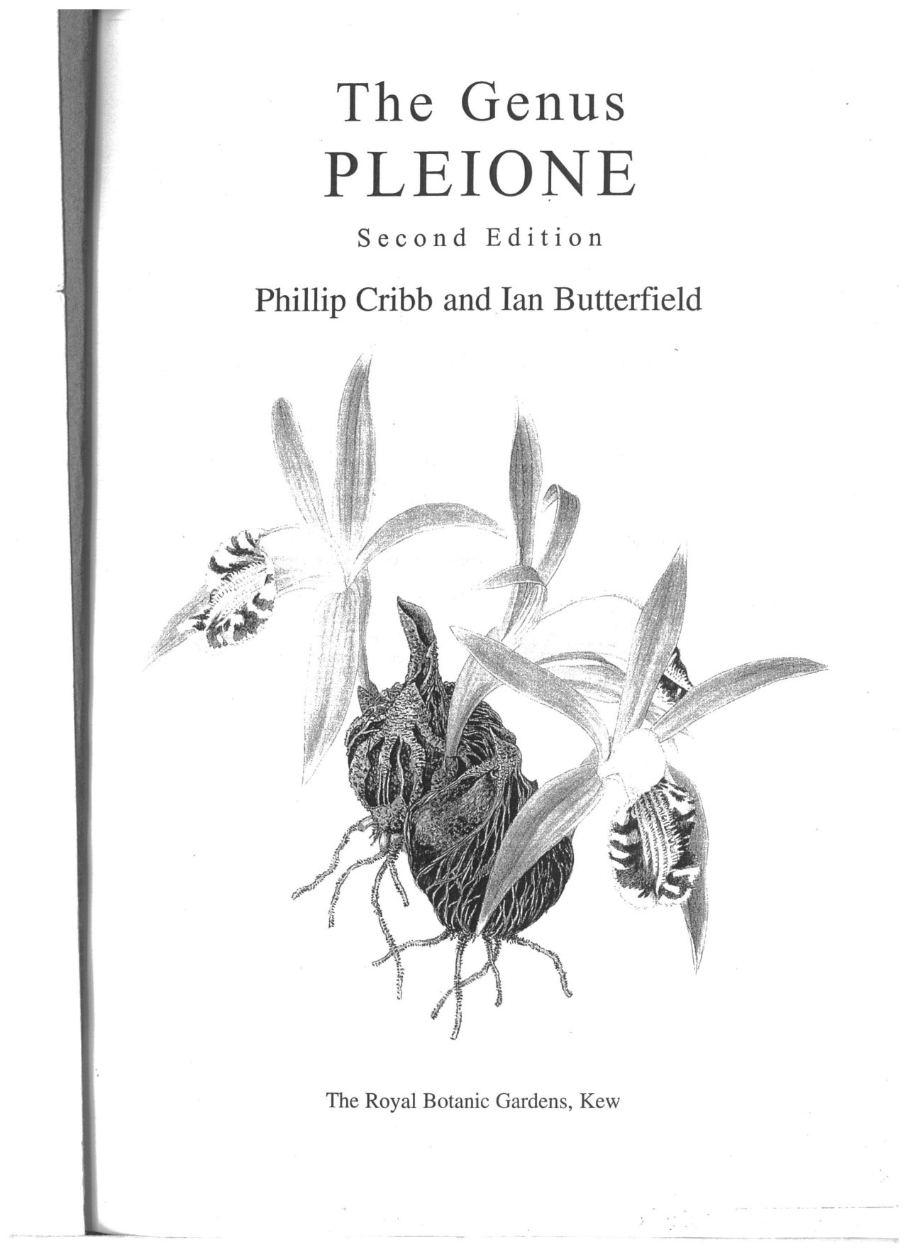 The Genus PLEIONE