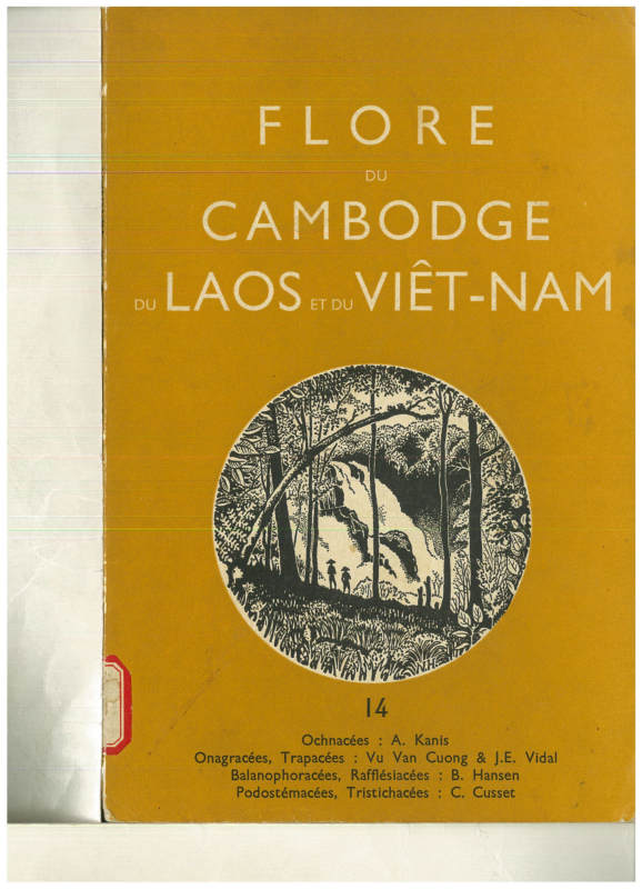FLORE DU CAMBODGE DU LAOS ET DU VIETNAM 14 Ochnacees,Onagracees,Trapacees,Balanophoracees,Raffleslacees,Podostemacees,Tristichacees