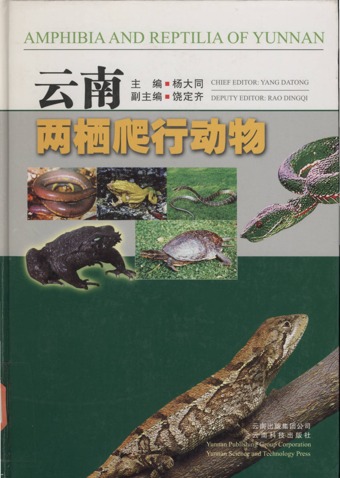 云南两栖爬行动物 AMPHIBIA AND REPTILIA OF YUNNAN