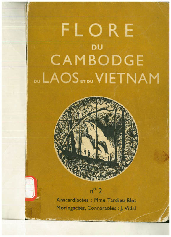 FLORE DU CAMBODGE DU LAOS ET DU VIETNAM 2 Anacardiacees,Moringacees, Connaracees