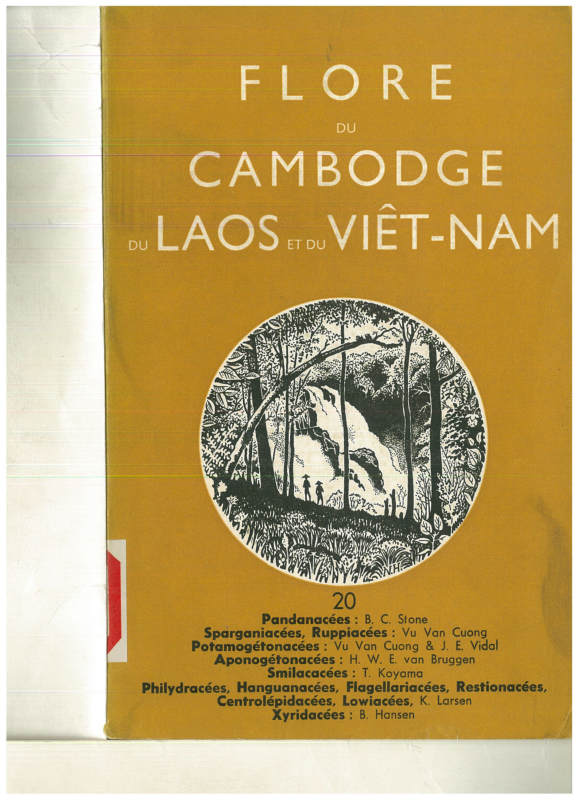 FLORE DU CAMBODGE DU LAOS ET DU VIETNAM 20