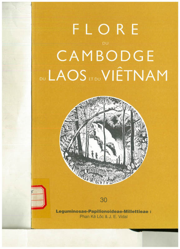 FLORE DU CAMBODGE DU LAOS ET DU VIETNAM 30 Leguminosae-Papilionoideae-Millettieae