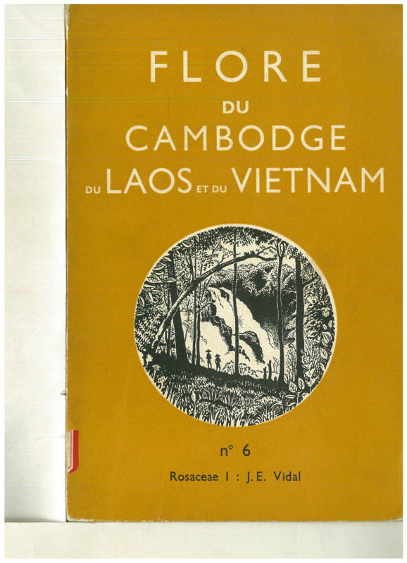 FLORE DU CAMBODGE DU LAOS ET DU VIETNAM 6 RosaceaeⅠ