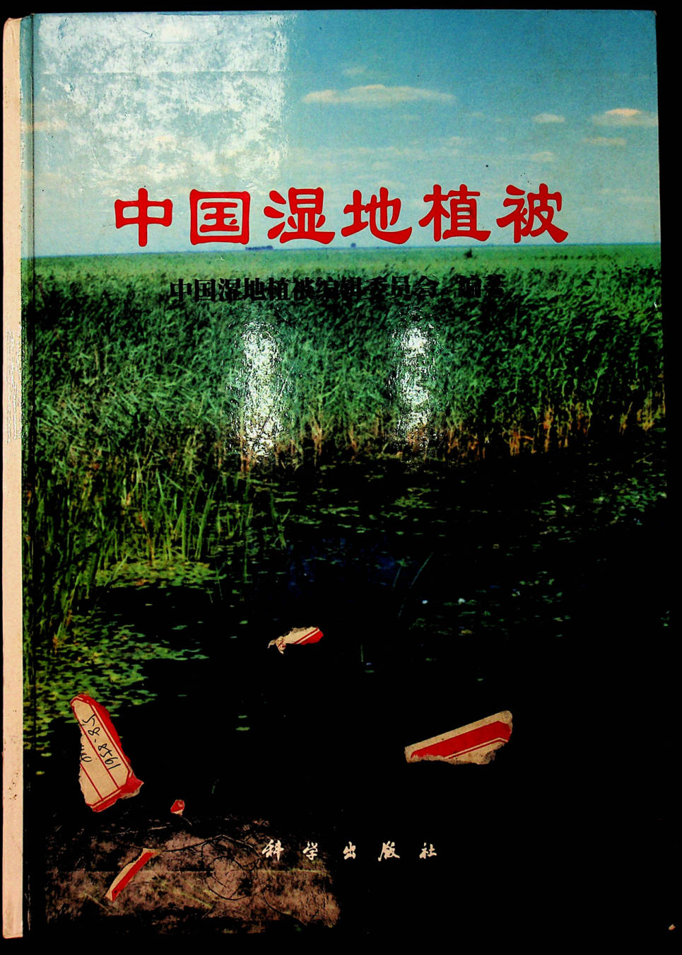 中国湿地植被