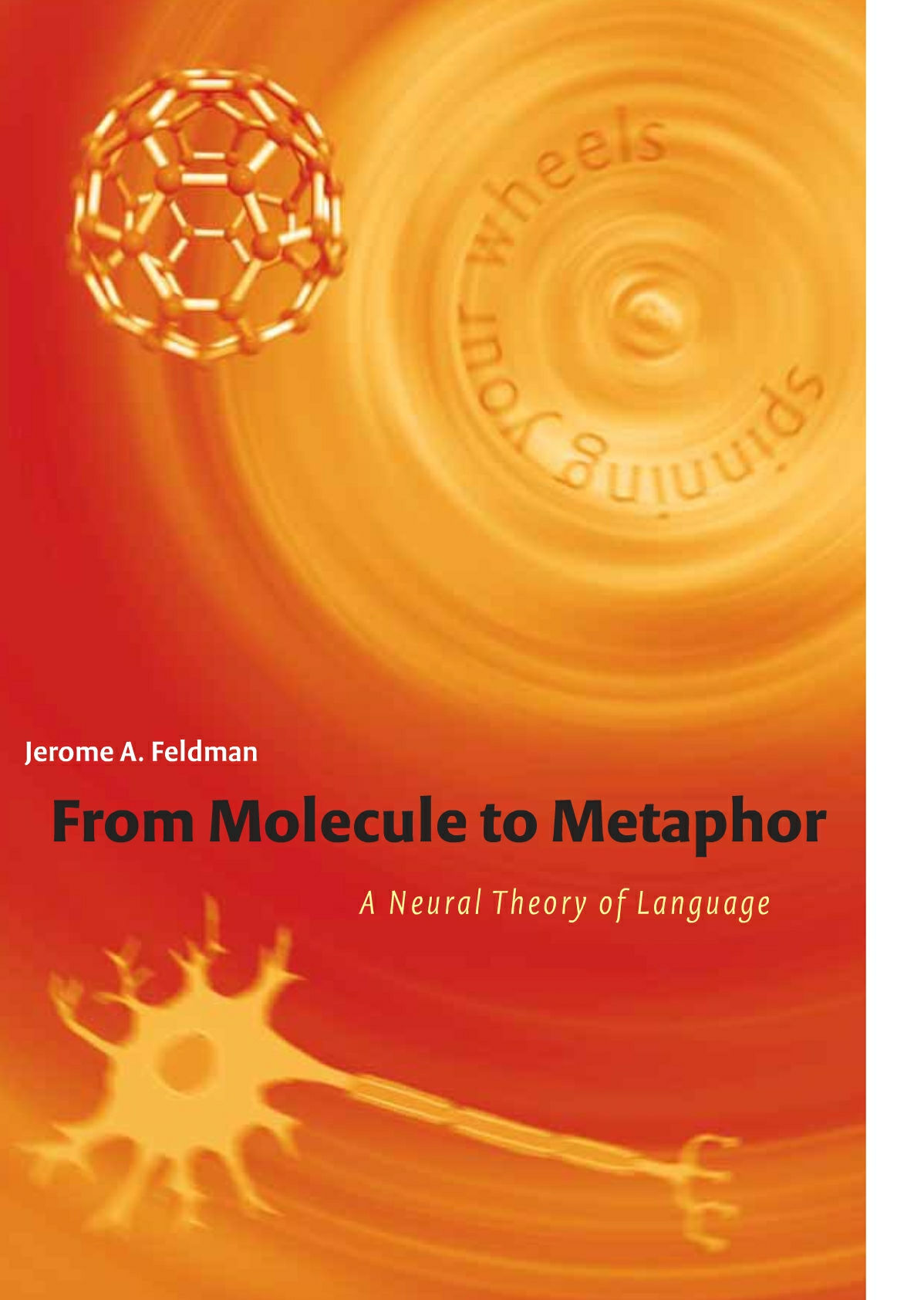 From Molecule to Metaphor A Neural Theory of Language