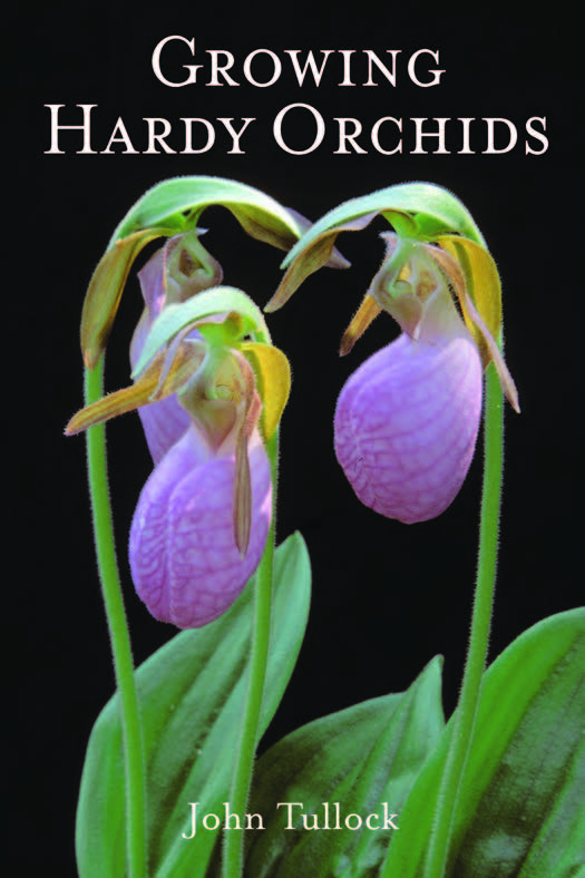 GROWING HARDY ORCHIDS