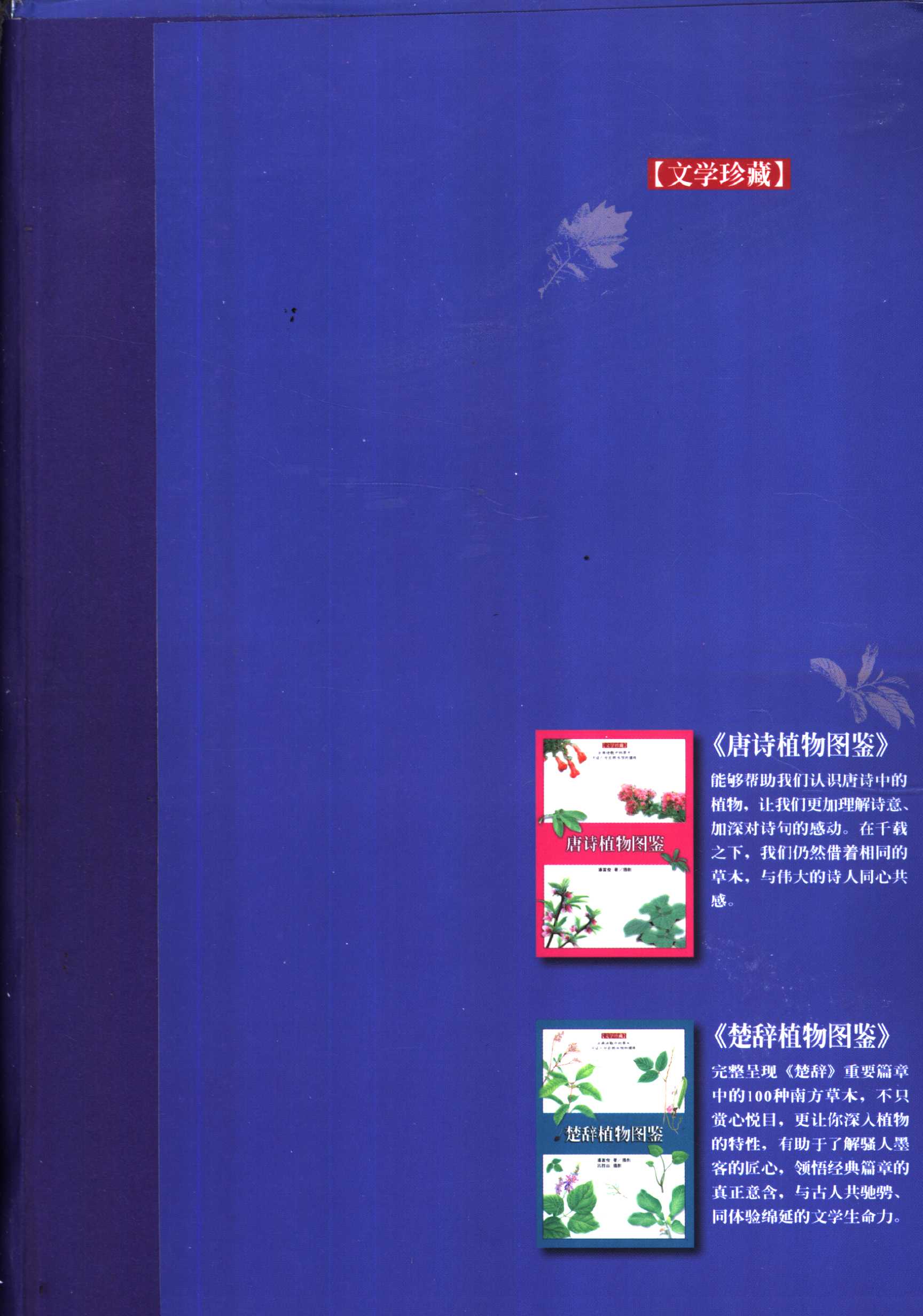 诗经植物图鉴