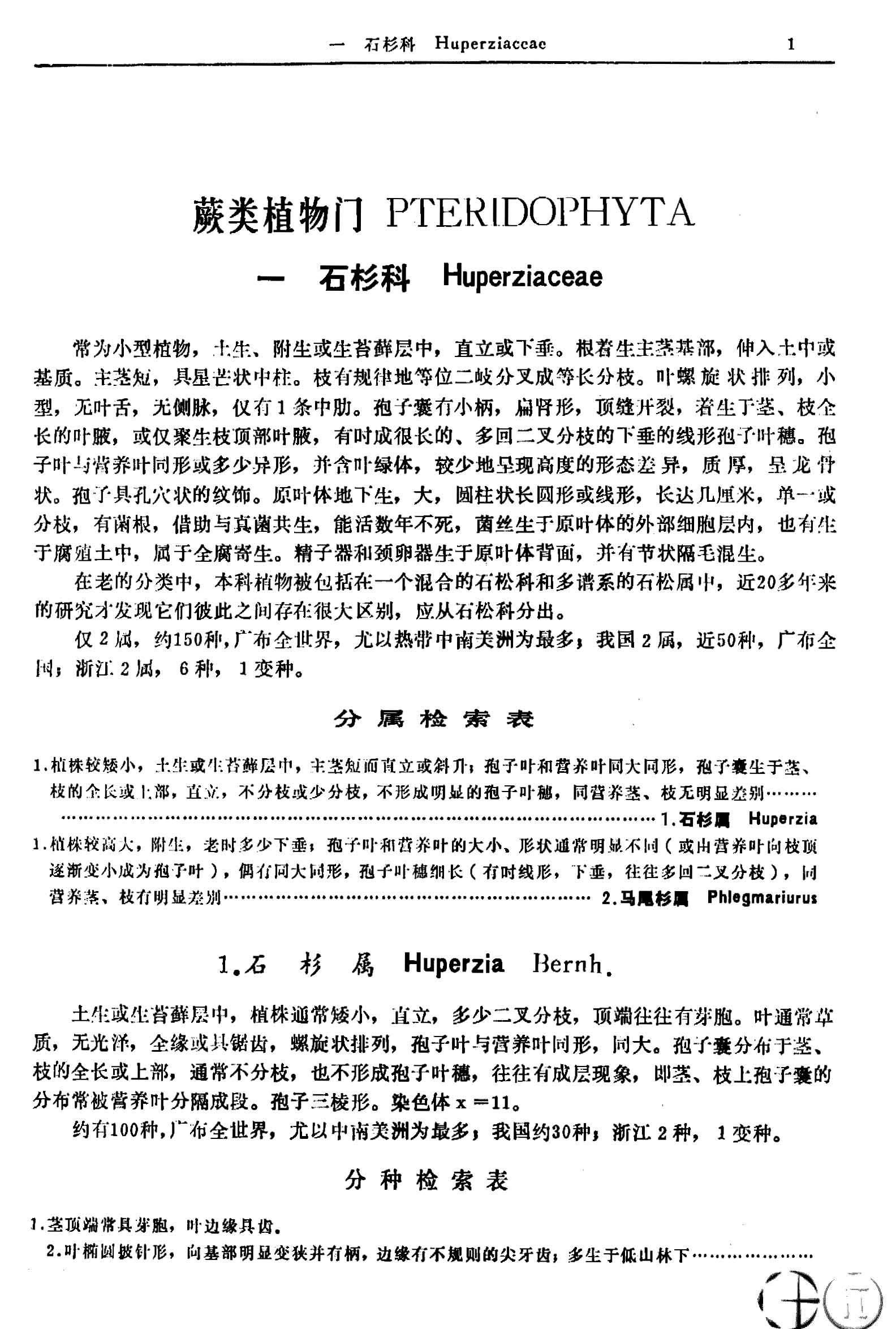浙江植物志 第一卷 蕨类植物及裸子植物