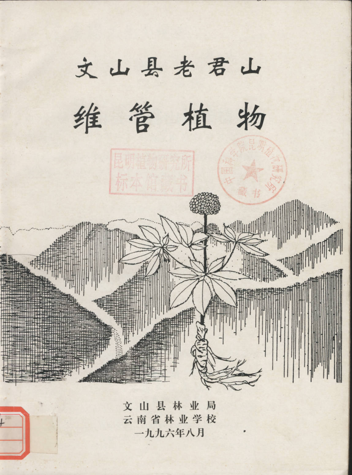 文山县老君山维管植物
