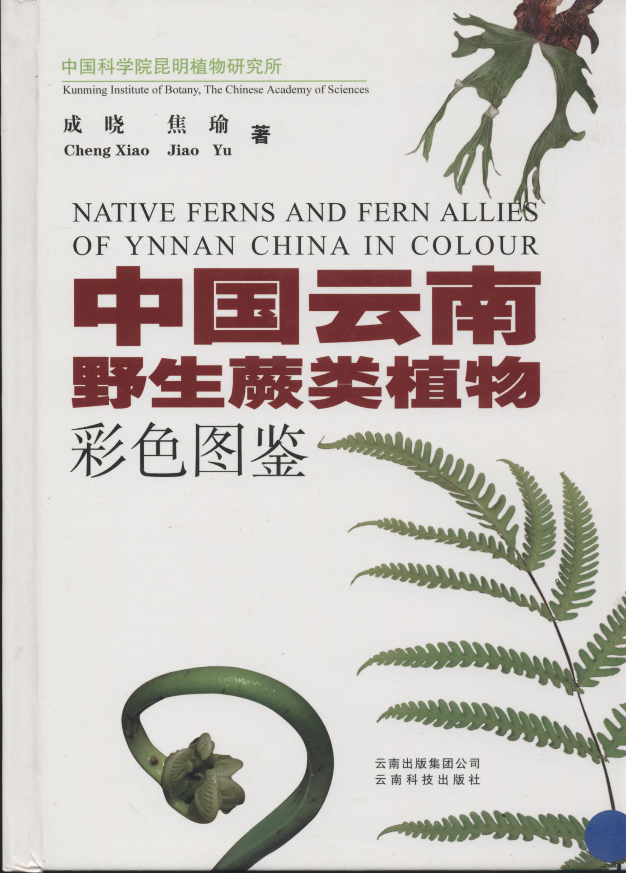 NATIVE FERNS AND FERN ALLIES OF YNNAN CHINA IN COLOUR 中国云南野生蕨类植物彩色图鉴