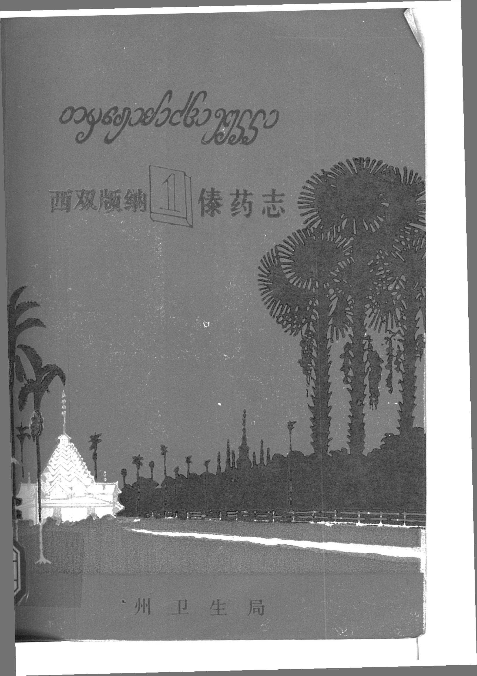 西双版纳傣药志 1