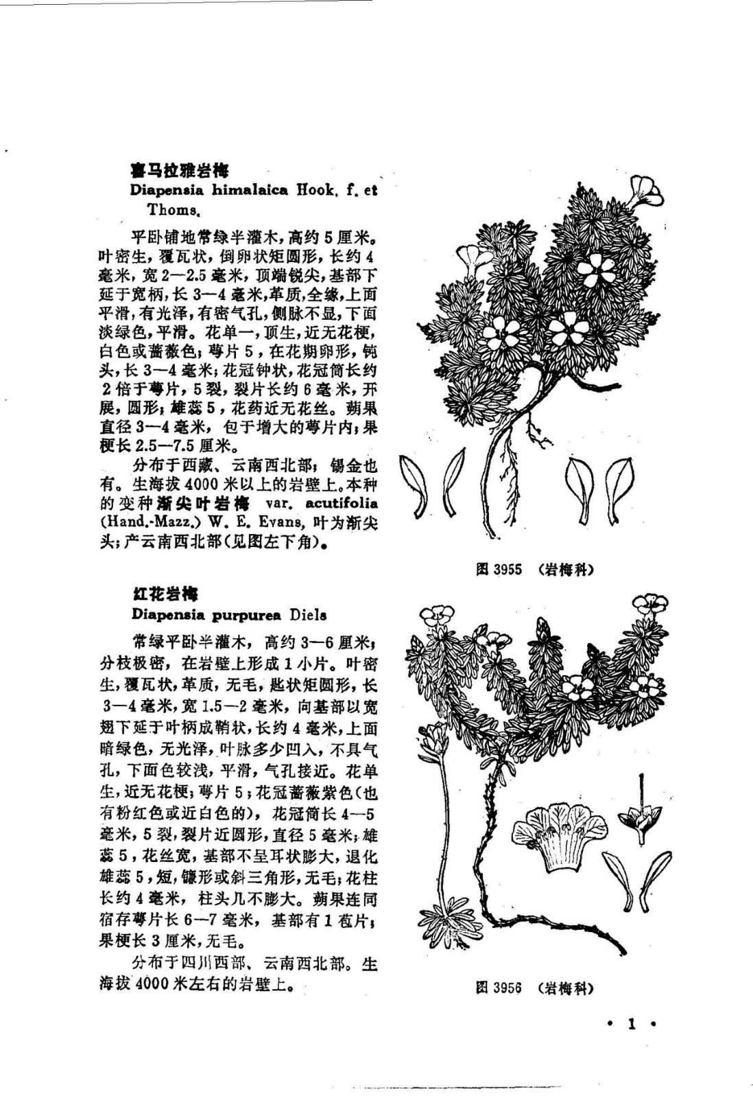 貴重な研究資料【中国高等植物図鑑】１巻～５巻セット 1972年～1976年