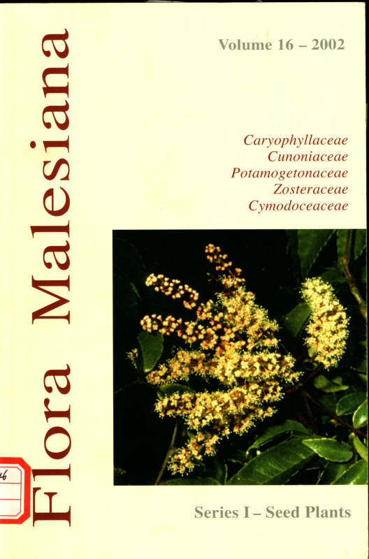 Flora Malesiana SeriesⅠ-Seed Plants Volume 16—2002 Caryophyllaceae Cunoniaceae Potamogetonaceae Zosteraceae Cymodoceaceae