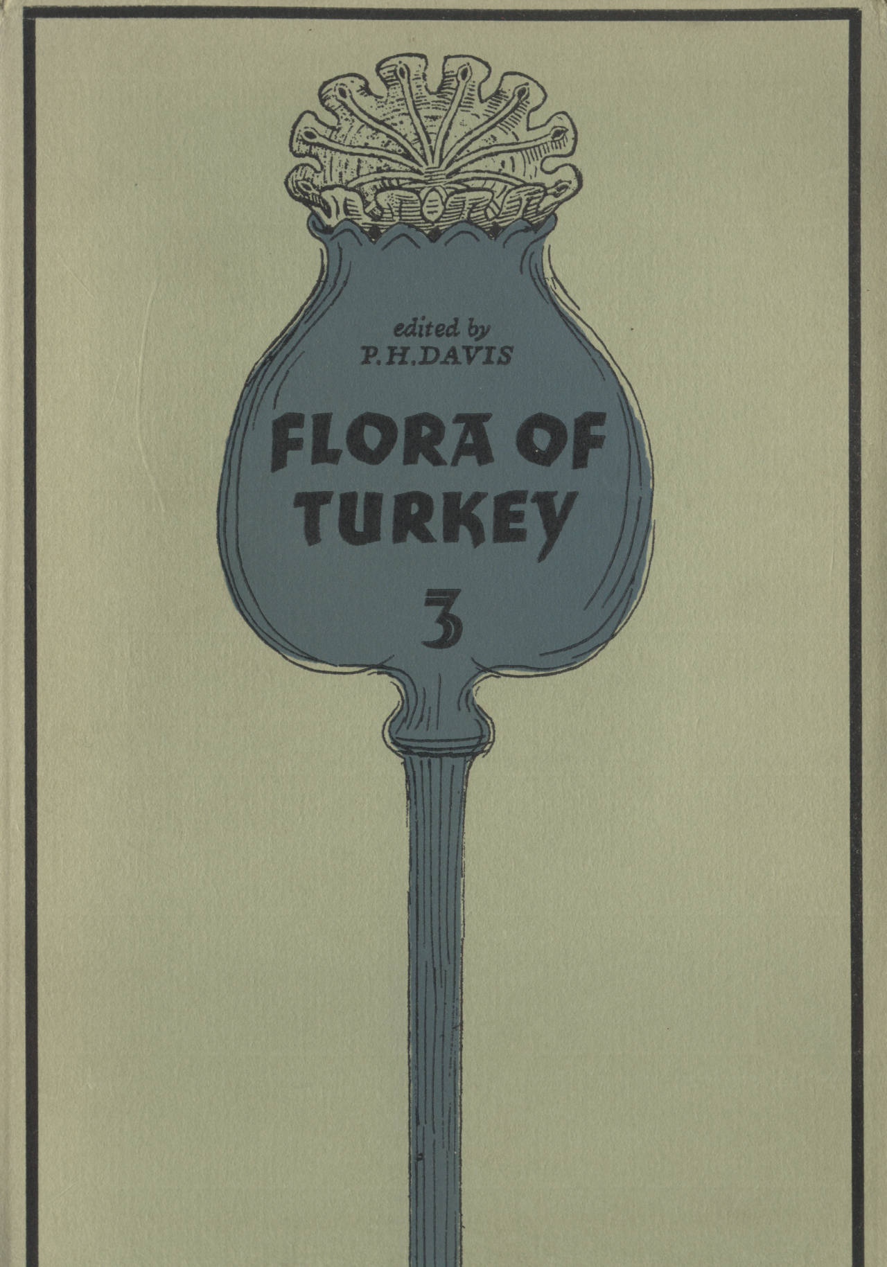 FLORA OF TURKEY 3