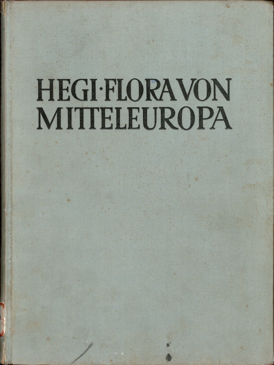 HEGI·FLORA VON MITTELEUROPA Ⅴ4