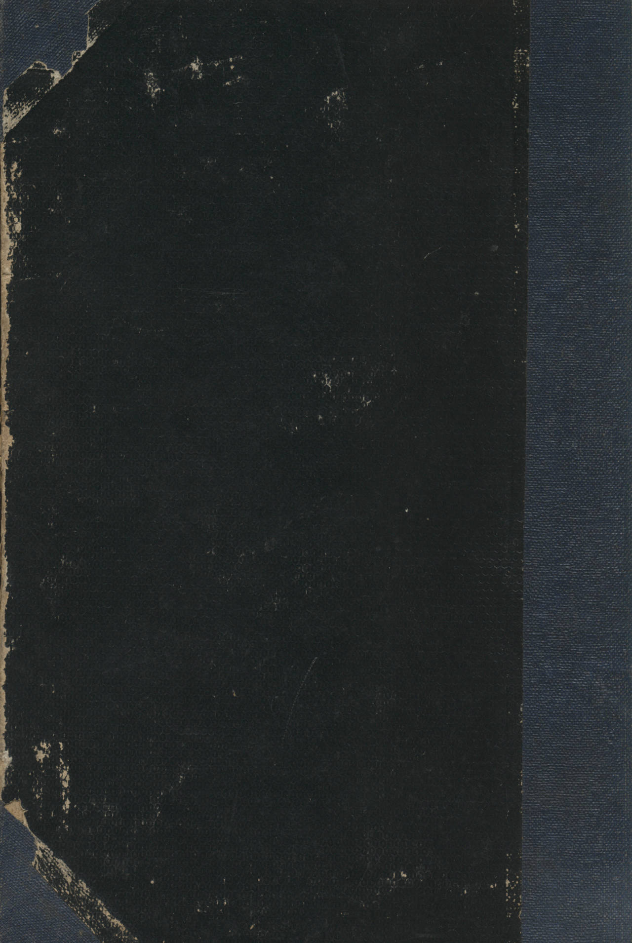 PFLANZENREICH 19-20