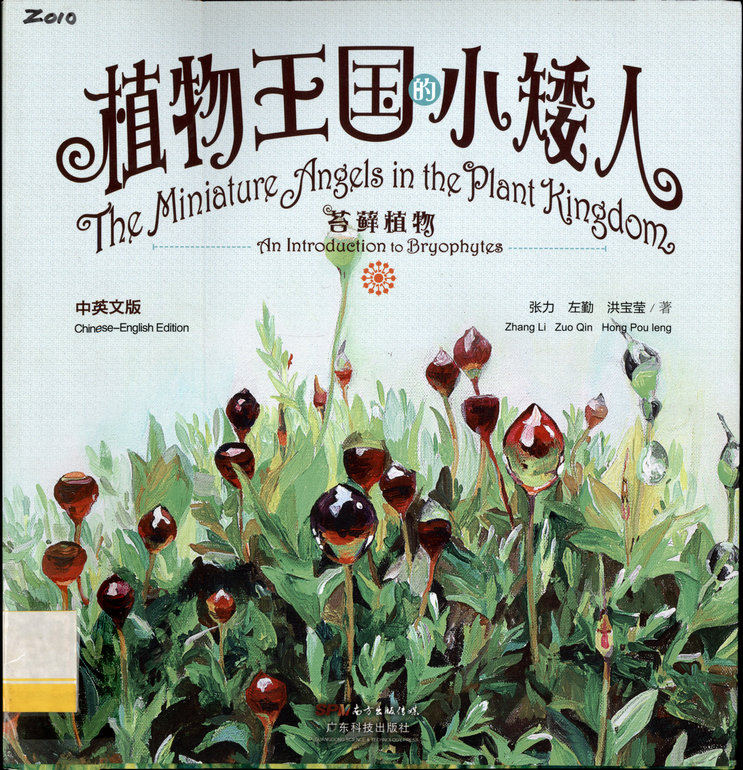 植物王国的小矮人 苔藓植物