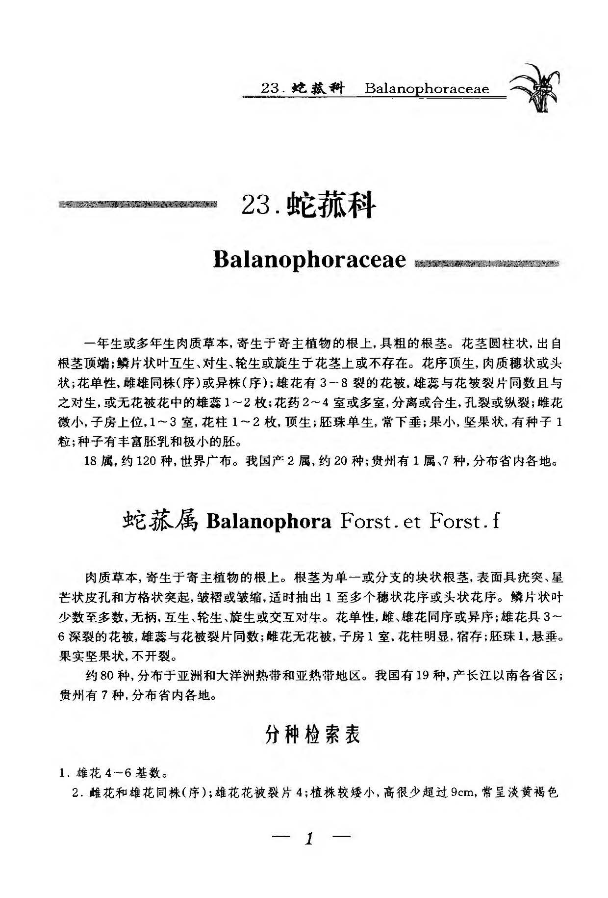 贵州植物志 第十卷