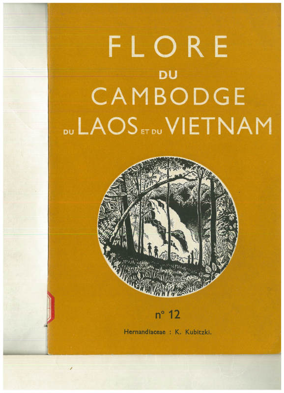 FLORE DU CAMBODGE DU LAOS ET DU VIETNAM 12 Hernandlaceae