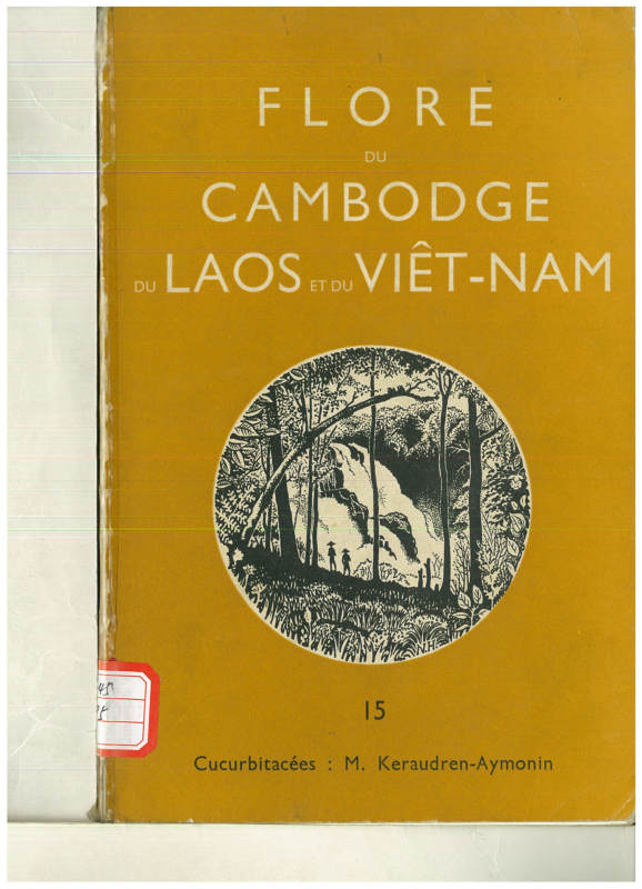 FLORE DU CAMBODGE DU LAOS ET DU VIETNAM 15 Cucurbitacees