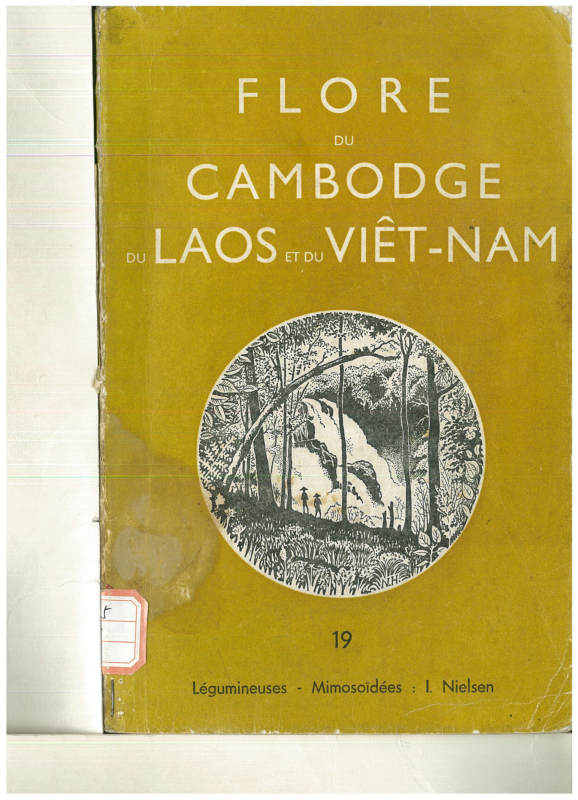 FLORE DU CAMBODGE DU LAOS ET DU VIETNAM 19 Legumineuses - Mimosoidees