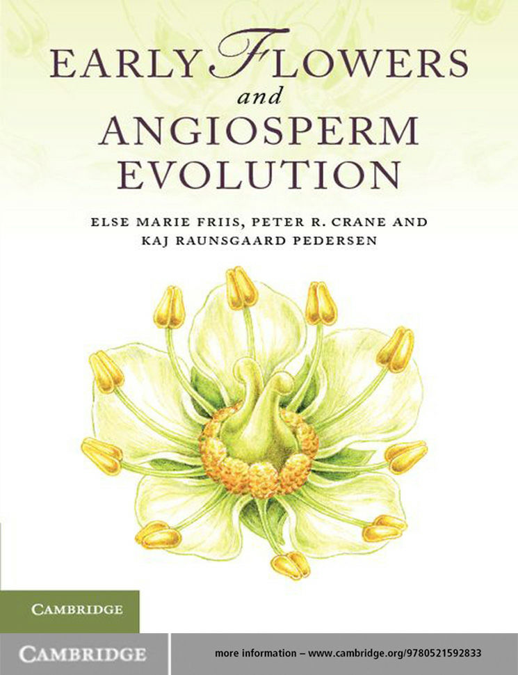 EARLY FLOWERS and ANGIOSPERM EVOLUTION