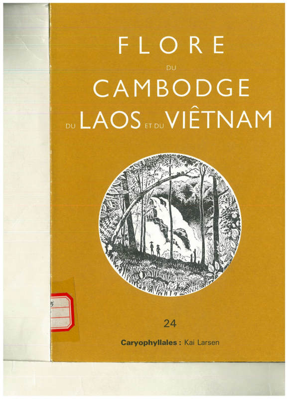 FLORE DU CAMBODGE DU LAOS ET DU VIETNAM 24 Caryophyllales