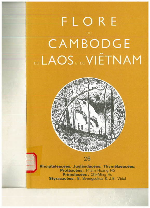 FLORE DU CAMBODGE DU LAOS ET DU VIETNAM 26 Rhoipteleacees,Juglandacees, Thymelaeacees, Proteacees,Primulacees,Styracacees