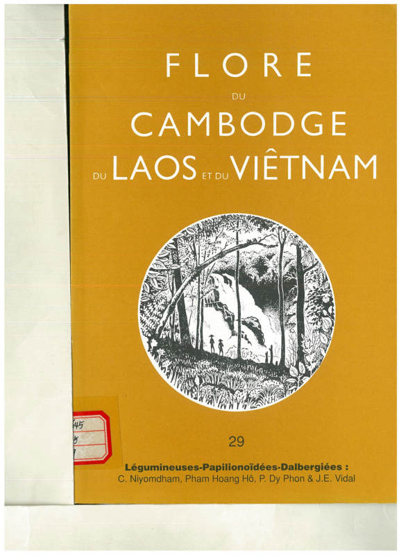 FLORE DU CAMBODGE DU LAOS ET DU VIETNAM 29 Legumineuses-Papilionoidees-Dalbergiees