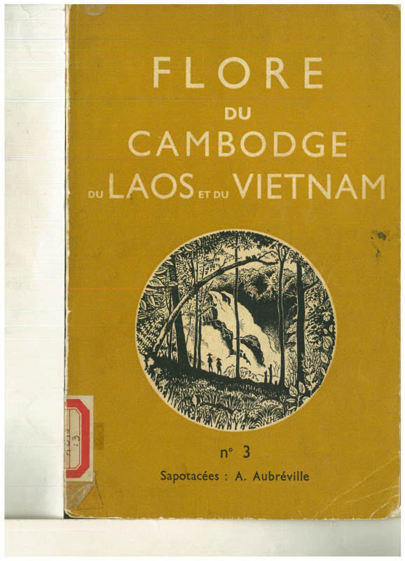 FLORE DU CAMBODGE DU LAOS ET DU VIETNAM 3 Sapotacees