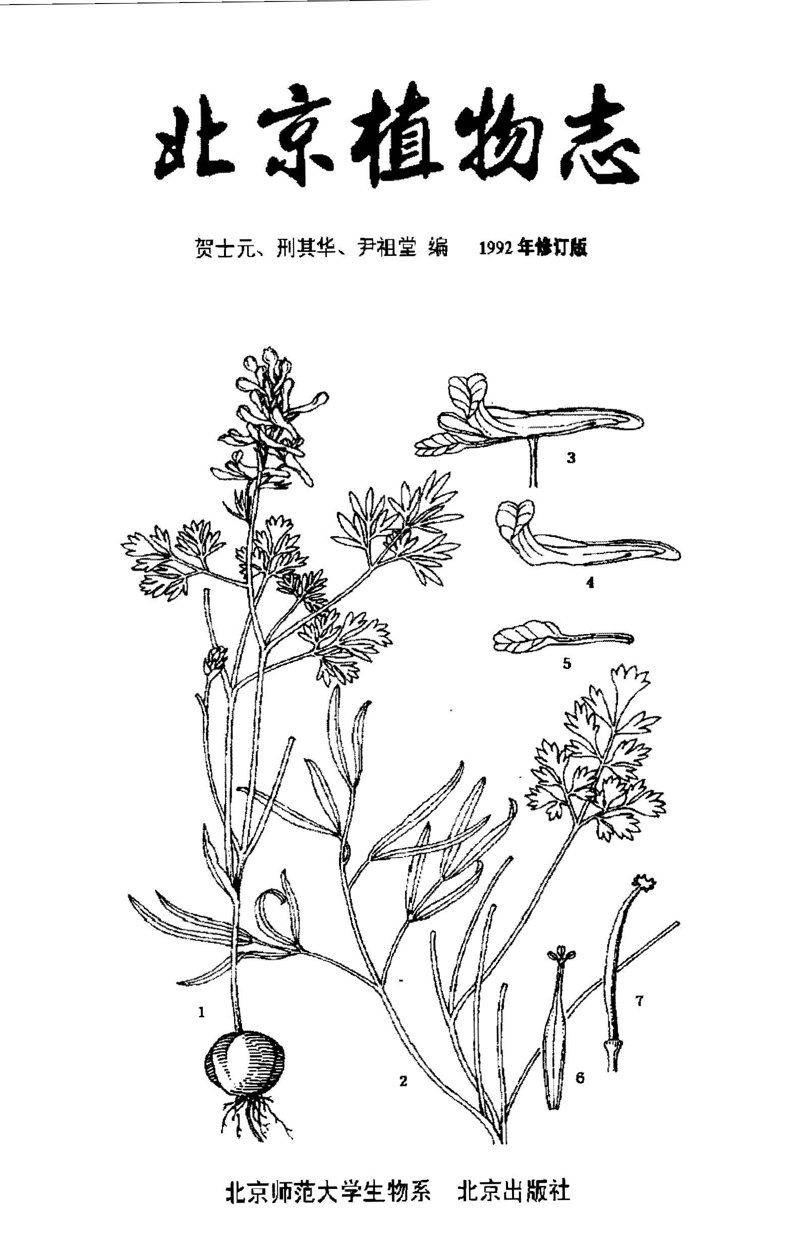 北京植物志 上册