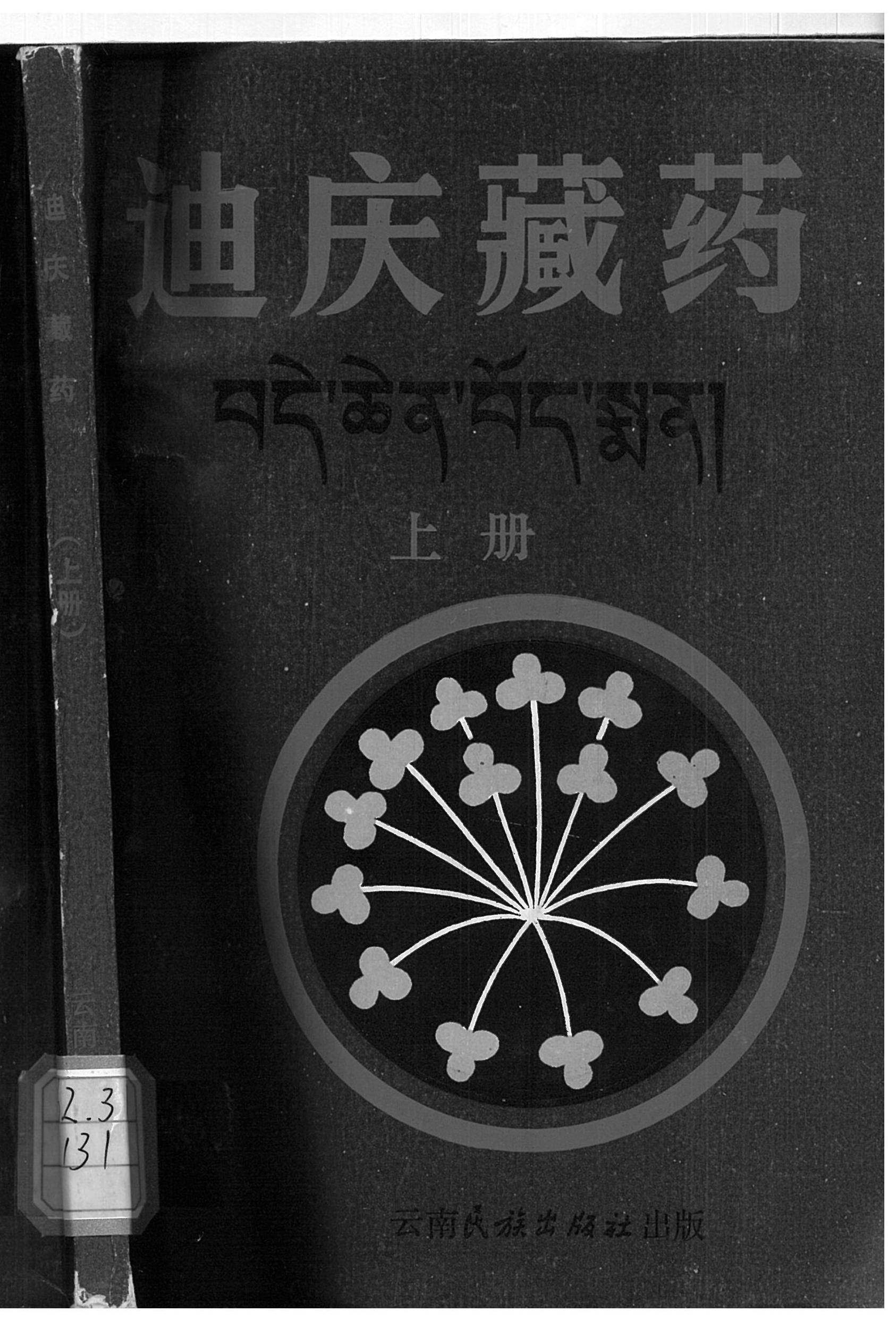 迪庆藏药 上册