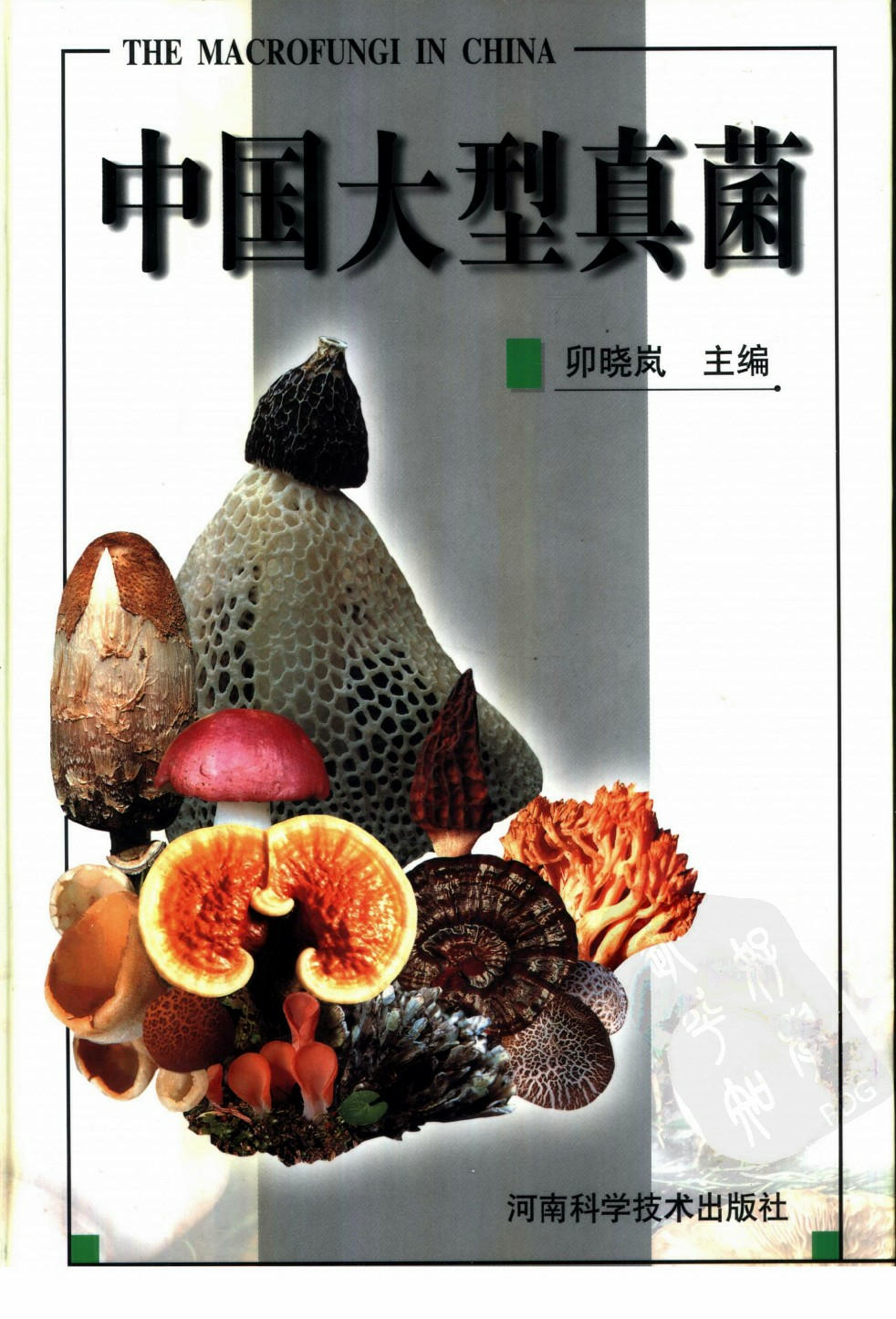 THE MACROFUNGI IN CHINA 中国大型真菌