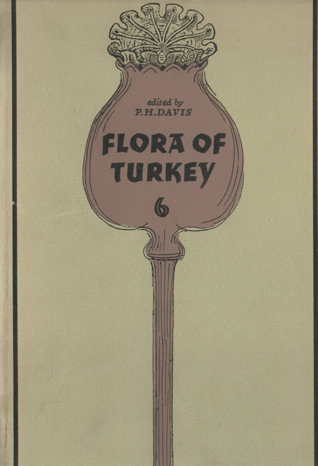 FLORA OF TURKEY 6