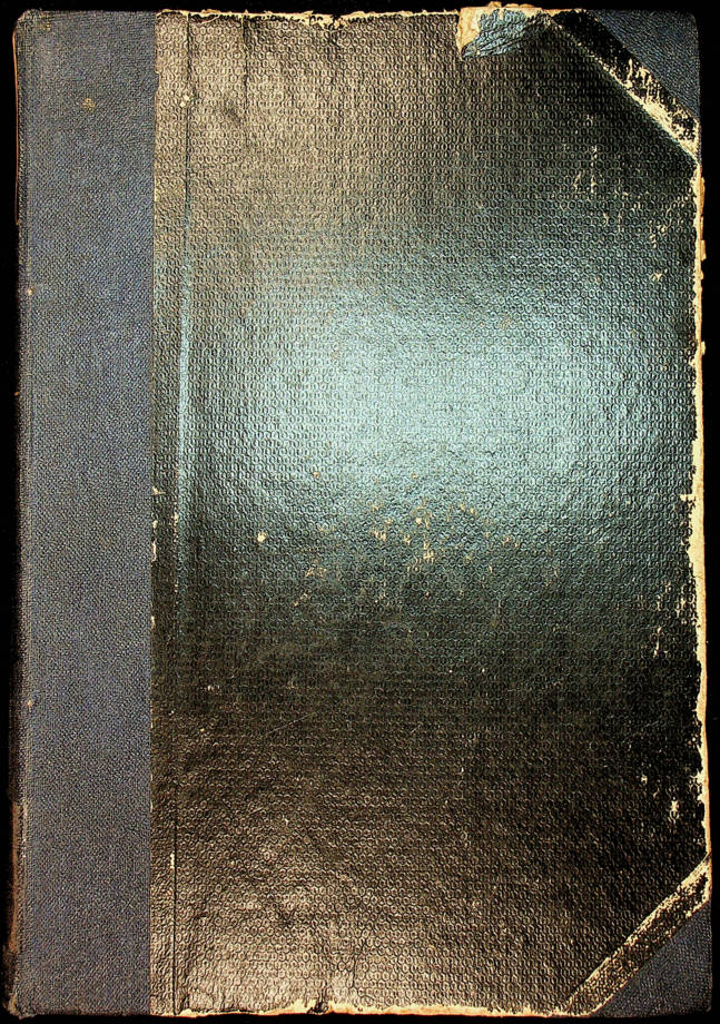 PFLANZENREICH SAXIFRAGACEAE SAXIFRAGA A.ENGLER E.IRMSCHER HEFT.67-69 1916-19