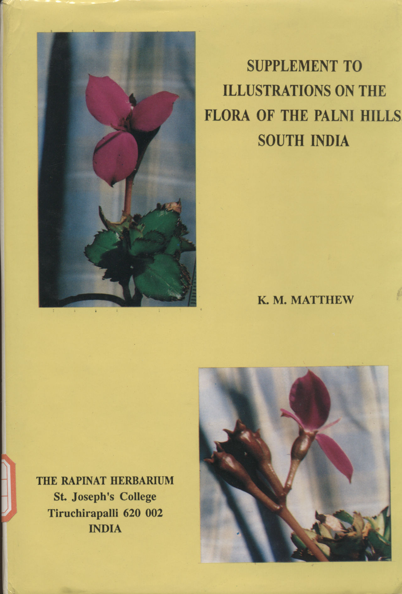 SUPPLEMENT TO ILLUSTRATIONS ON THE FLORA OF THE PALNI HILLS, SOUTH INDIA