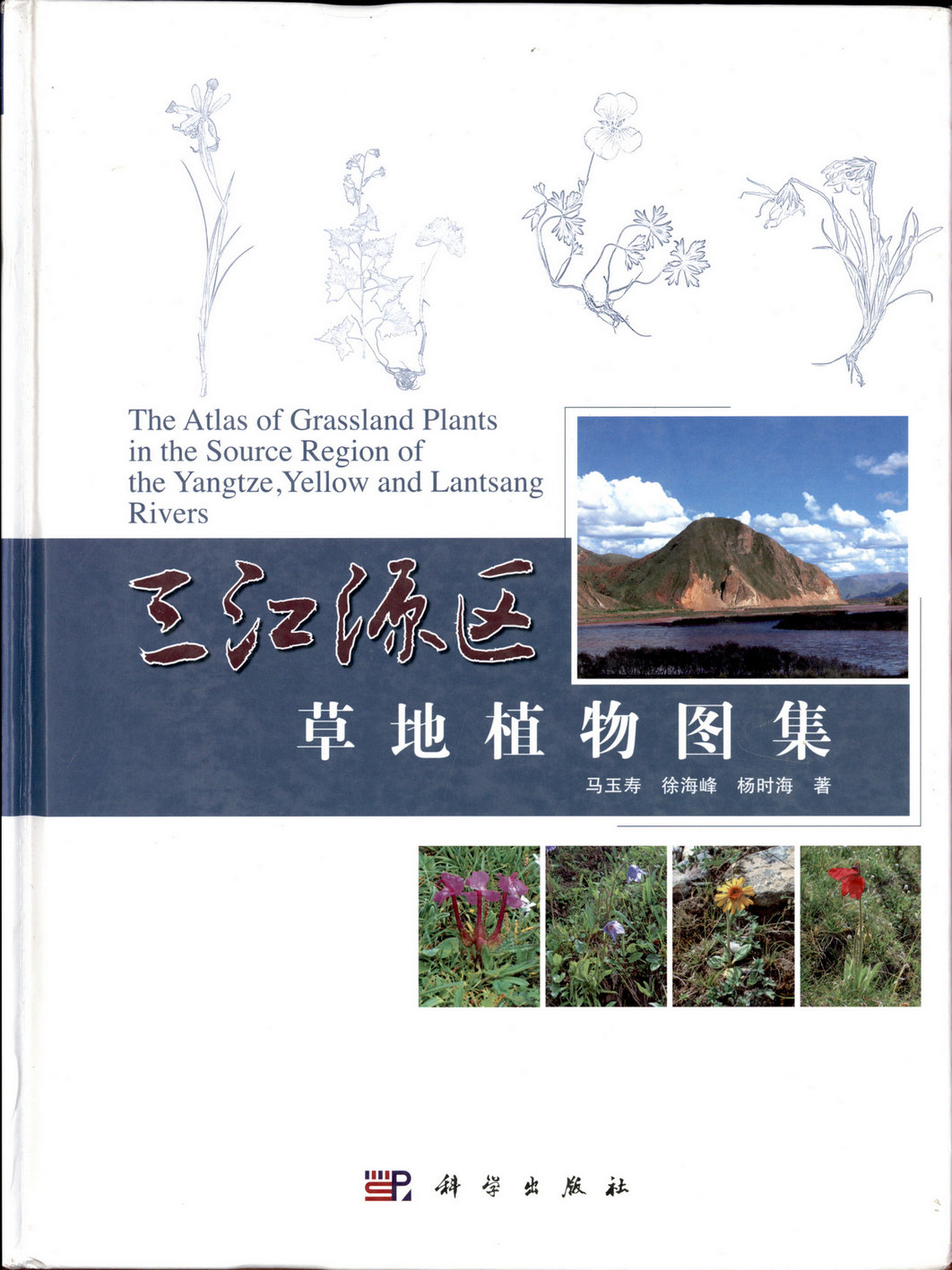 三江源区草地植物图集