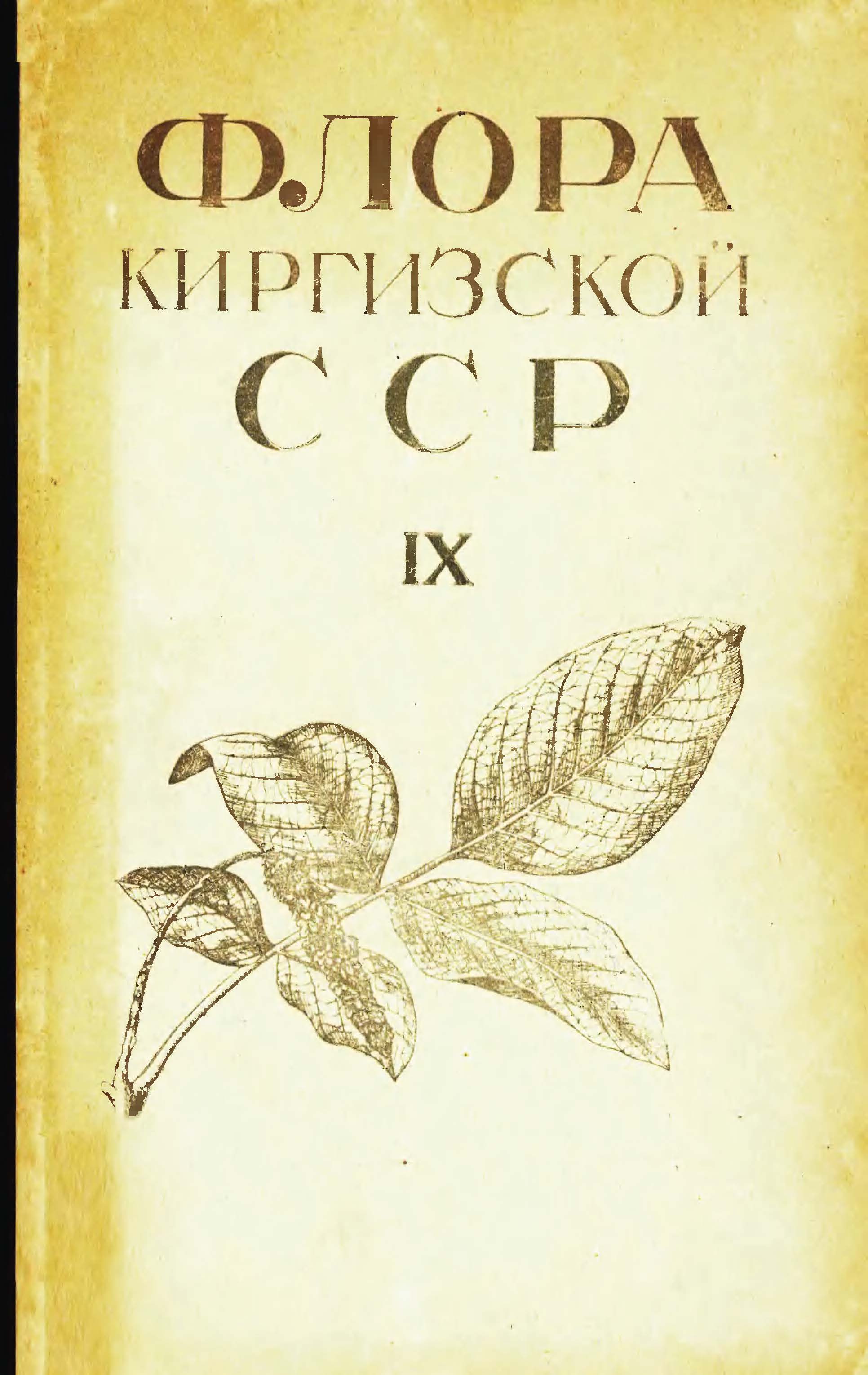 Флора Киргизской 吉尔吉斯斯坦植物志 第9卷(1960)