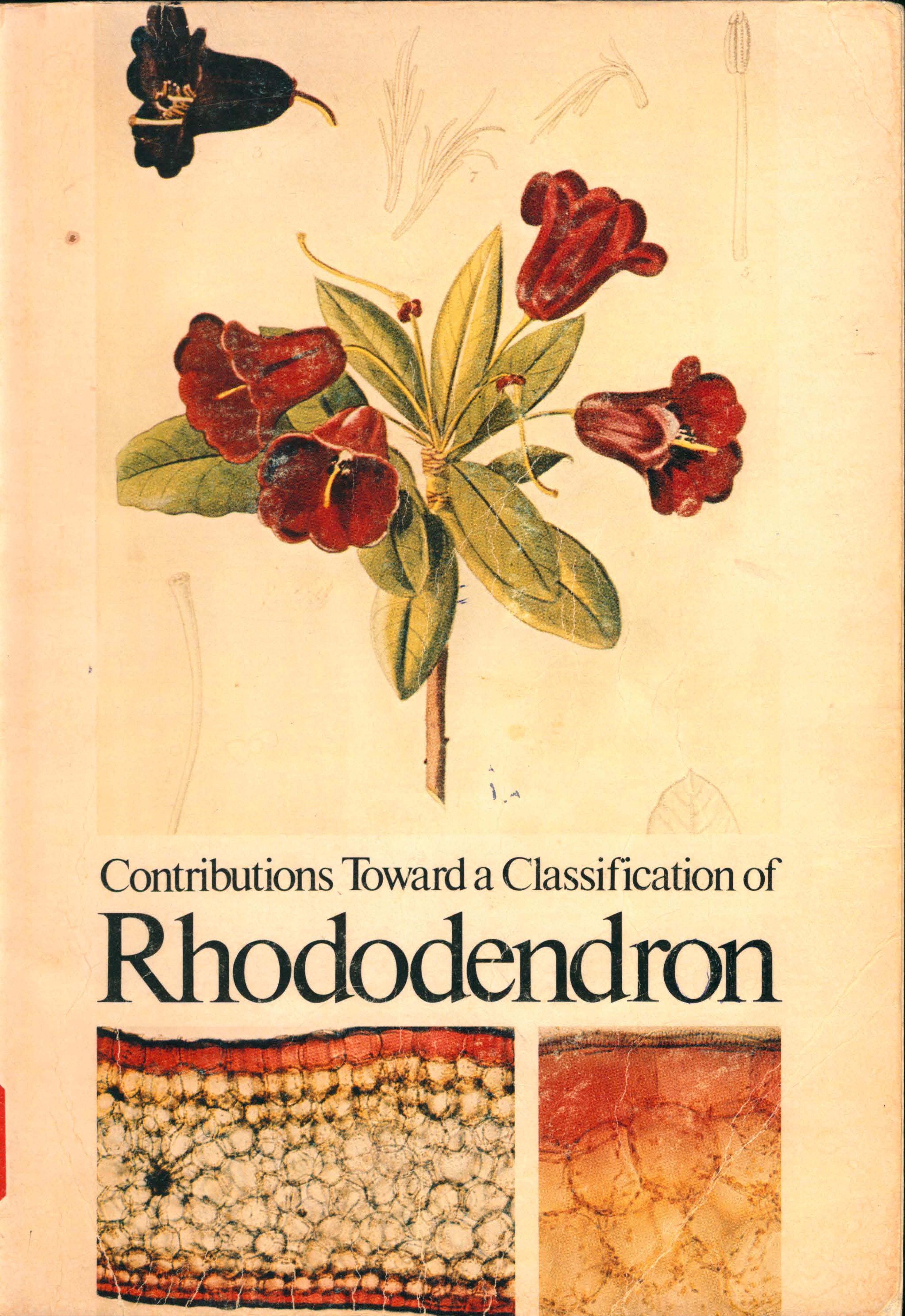 Contributions Toward a Classification of Rhododendron